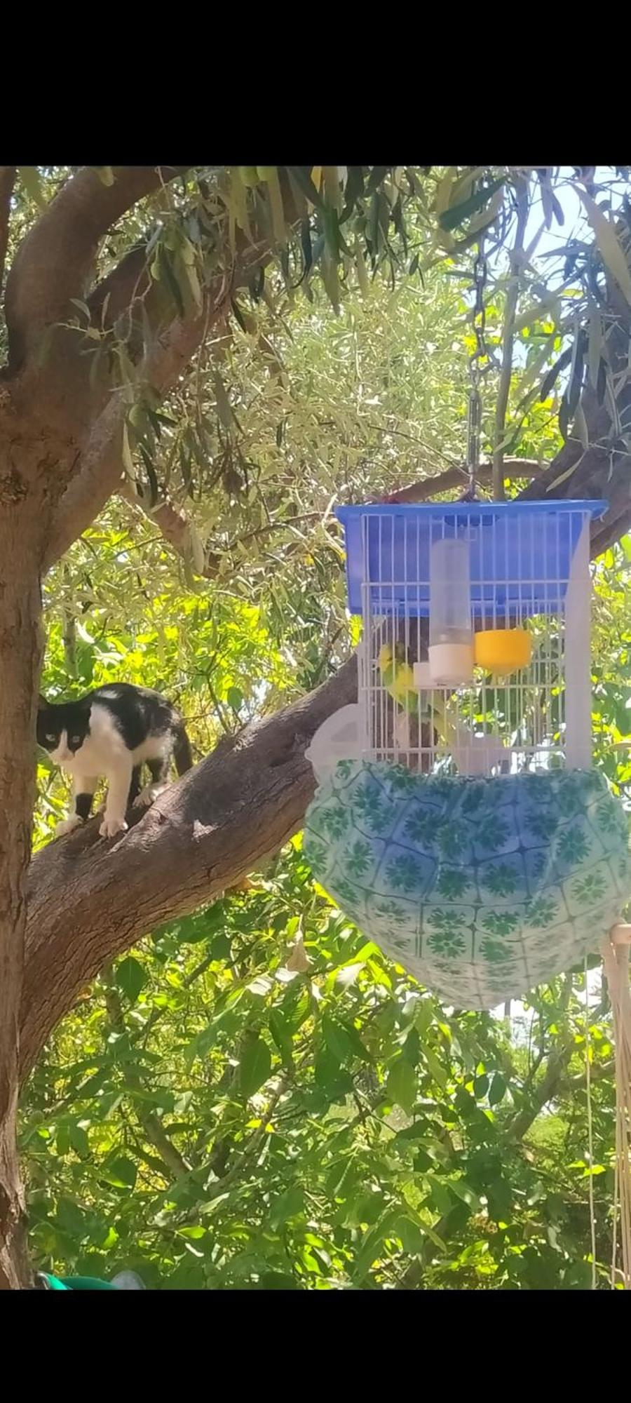 View Διαμερισμα Βίλα Loukissia Εξωτερικό φωτογραφία